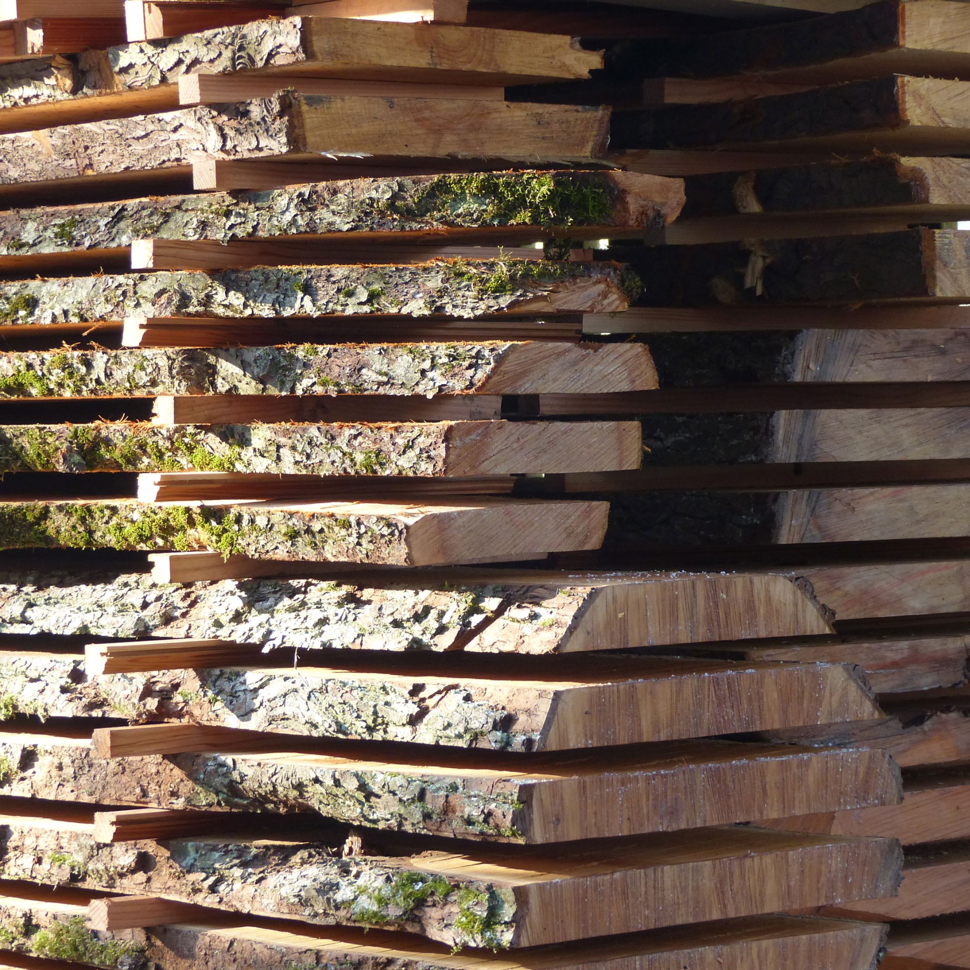 Jonas Baedeker Architektur Dachau